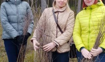 Акция 