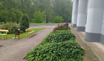 Цветы Победы
