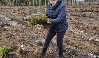 Неделя леса