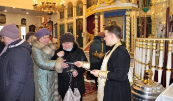 Сотрудничество