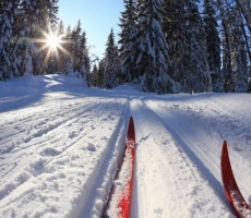 Новополоцкая лыжня